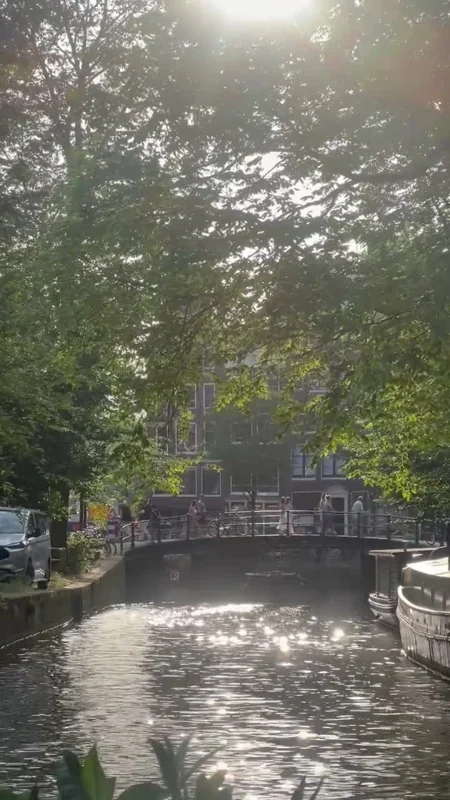 Sunlight through trees above a canal